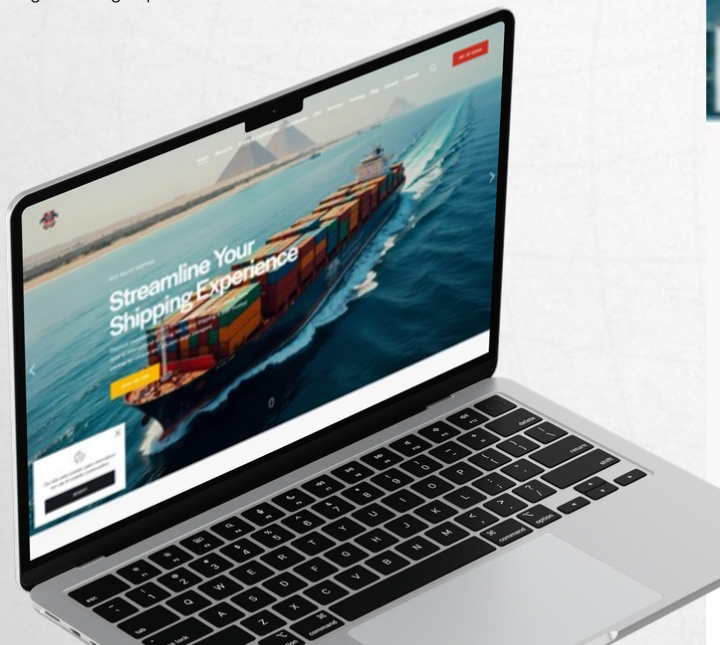 Screenshot of the Nile Valley Shipping website