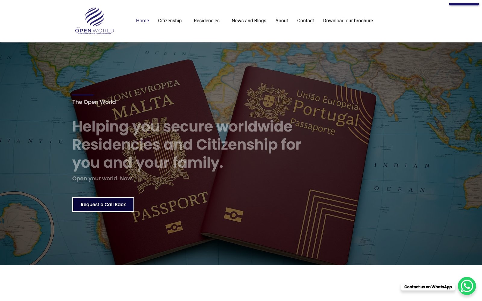 Screenshot of the The Open World website